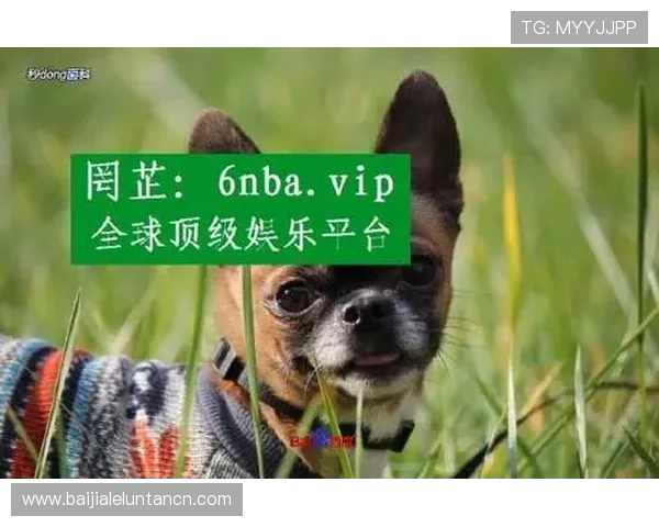 了解AG真人是什么公司以及其在在线真人娱乐市场中的核心竞争优势